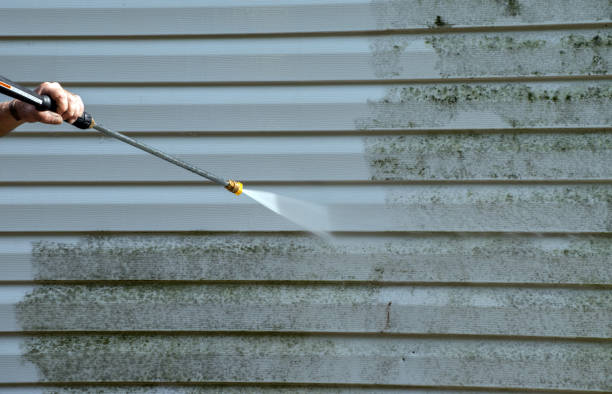 Best Exterior Home Cleaning  in Fairfax, SC